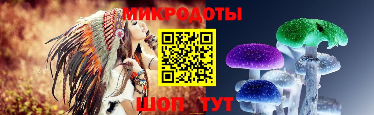 Псилоцибиновые грибы мухоморы Горно-Алтайск