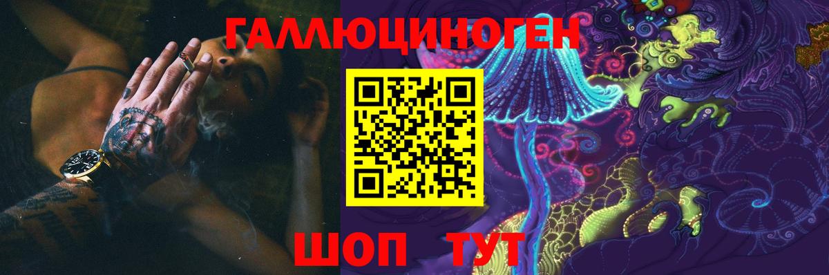 купить наркотики цена  Галлюциногенные грибы GOLDEN TEACHER  Вход с VPN  Горно-Алтайск 